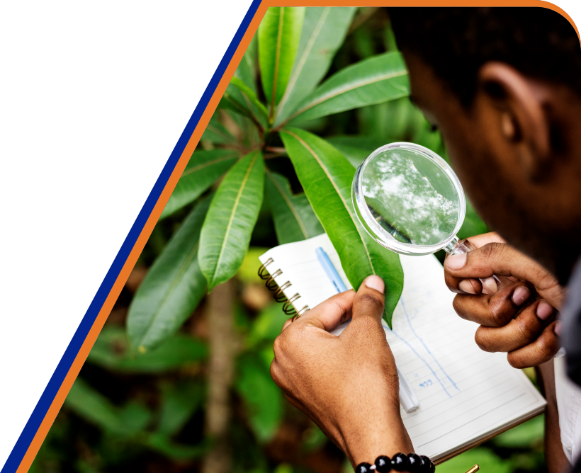 ISO 14001 certification