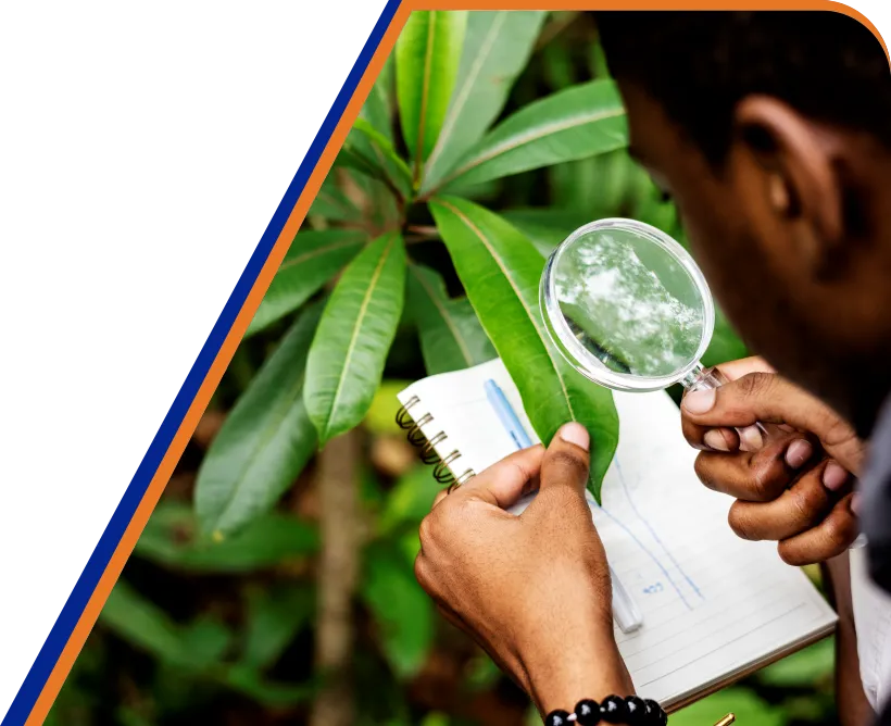 ISO 14001 Lead Auditor Course Pakistan